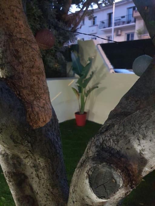 Superbe Appartement Avec Jacuzzi Et Exterieur Perpignan Exterior foto